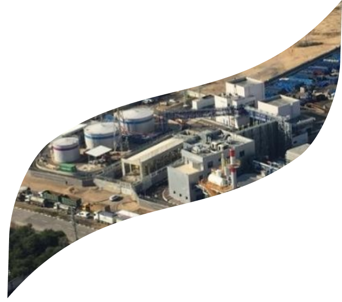 Ashdod plant